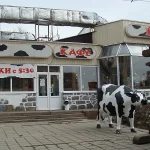 кафе му-му на комсомольском проспекте фото 2 - italyrestoran.ru